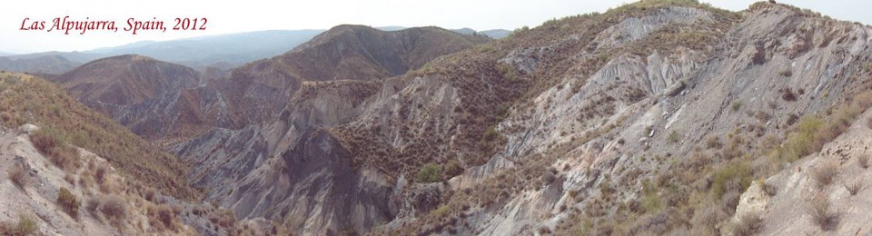 Ben's Blogs, Books & Pix