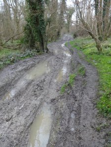 Serious mud on Hangers Way